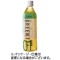 ハルナプロデュース　ルカフェ　緑茶　５００ｍｌ　ペットボトル　１セット（４８本：２４本×２ケース）