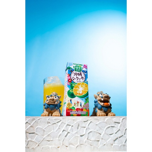 カゴメ　野菜生活１００　沖縄シークヮーサーミックス　１９５ｍＬ　紙パック　１セット（４８本：２４本×２ケース）2