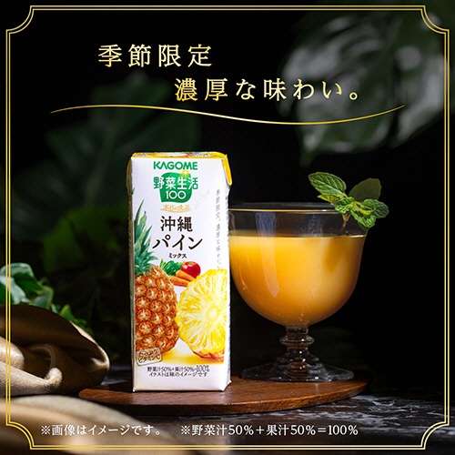 カゴメ　野菜生活１００　本日の逸品　沖縄パインミックス　１９５ｍＬ　紙パック　１セット（４８本：２４本×２ケース）6