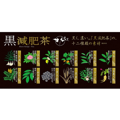 井藤漢方製薬　黒減肥茶　８ｇ　１セット（６６バッグ：３３バッグ×２箱）4