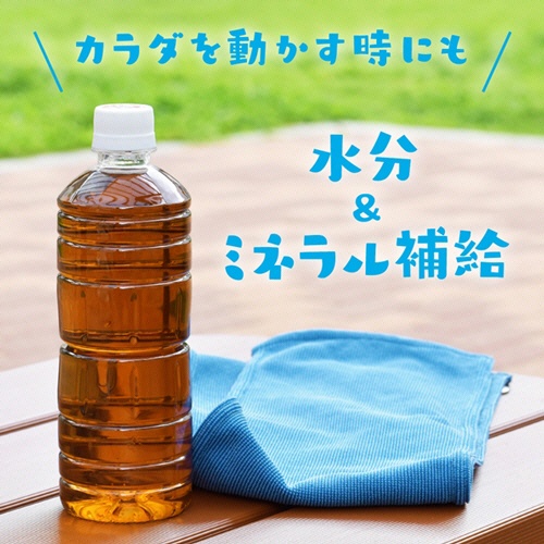 伊藤園　健康ミネラルむぎ茶　ラベルレス　６００ｍＬ　ペットボトル　１セット（４８本：２４本×２ケース）5