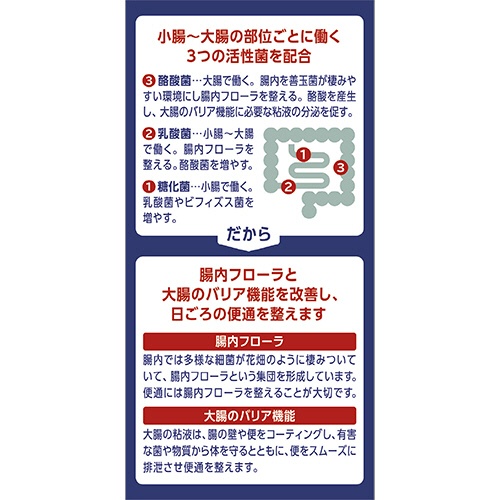アリナミン製薬　ビオスリーＨｉ錠　１セット（５４０錠：２７０錠×２個）7
