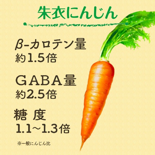 伊藤園　充実野菜　キャロット１００％　７４０ｇ　ペットボトル　１ケース（１５本）2