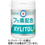 ロッテ　キシリトールガム＋フッ素（ペパーミント）スリムボトル　１２５ｇ／個　１セット（６個）