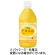 伊藤園　とろっとなめらか　芒果烏龍（まんごーうーろん）　４８０ｍＬ　ペットボトル　１ケース（２４本）1