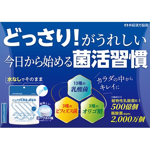 井藤漢方製薬　どっさり乳酸菌と酪酸菌　２４日分　２ｇ／袋　１セット（４８袋：２４袋×２パック）4