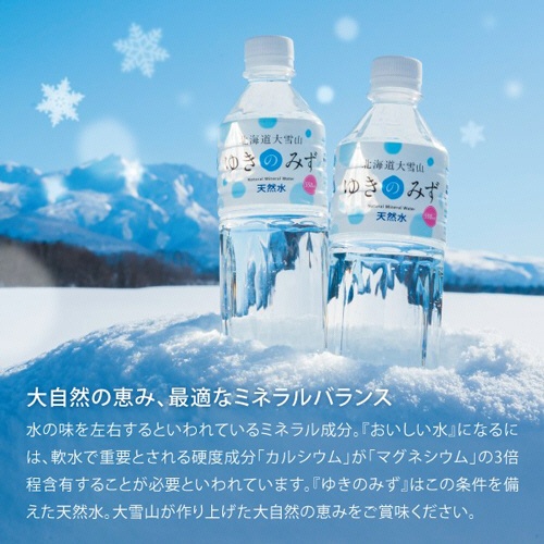 ロジネットジャパン　北海道大雪山ゆきのみず　５５０ｍｌ　ペットボトル　１セット（４８本：２４本×２ケース）3