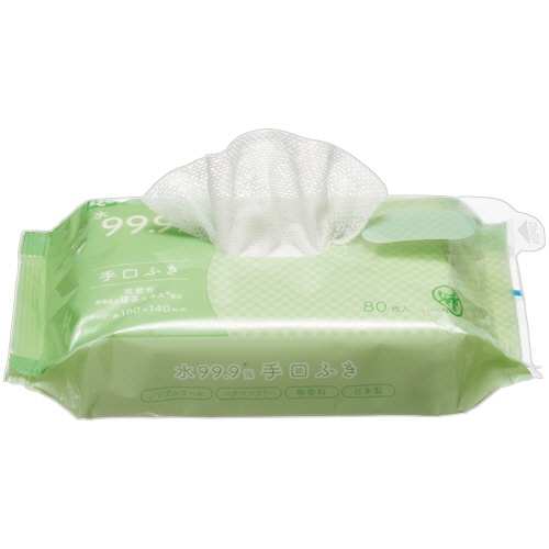 レック　Ｎｕｒｓｉｎｇ　Ｃａｒｅ　水９９．９％　手口ふき　Ｅ９０５４８　１セット（１９２０枚：８０枚×２４パック）2