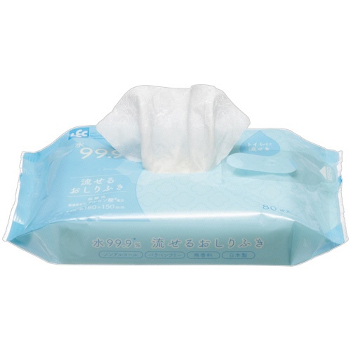 レック　Ｎｕｒｓｉｎｇ　Ｃａｒｅ　水９９．９％　流せるおしりふき　Ｅ９０５３３　１セット（１９２０枚：８０枚×２４パック）2
