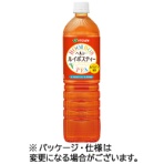 伊藤園 ヘルシールイボスティー スリムボトル 1L ペットボトル 1ケース(12本)