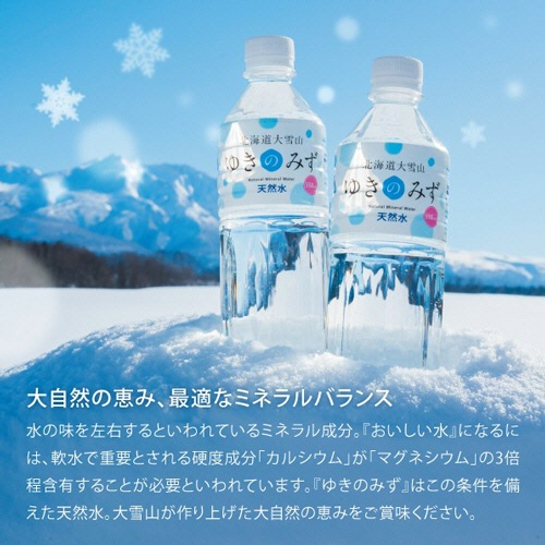 ロジネットジャパン　北海道大雪山ゆきのみず　５５０ｍｌ　ペットボトル　１セット（９６本：２４本×４ケース）3