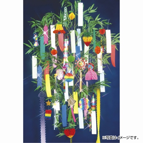 ササガワ　でんぐり　ミニパイン　４６－８２４８　１セット（５個）5