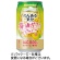 サントリー酒類　のんある気分　梅酒サワー　ノンアルコール　３５０ｍＬ　缶　１ケース（２４本）1