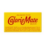 大塚製薬　カロリーメイトブロック　ハーフ　チョコレート味　２０ｇ／本　１セット（１２０本：２本×６０箱）