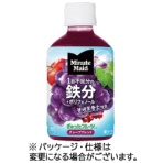 コカ・コーラ　ミニッツメイド　ぎゅっ！とフルーツ　グレープブレンド鉄分　２８０ｍｌ　ペットボトル　１ケース（２４本）