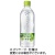 コカ・コーラ　い・ろ・は・す　シャインマスカット　５４０ｍＬ　ペットボトル　１ケース（２４本）