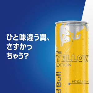 レッドブル　ジャパン　レッドブル・エナジードリンク　イエローエディション　２５０ｍｌ　缶　１ケース（２４本）3