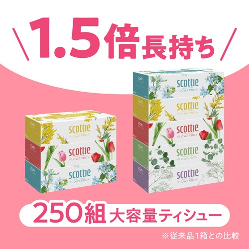 日本製紙クレシア　スコッティ　ティシュー　フラワーボックス　２５０組／箱　１セット（５４箱：３箱×１８パック）2
