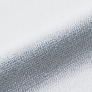 大王製紙　エリエール　プロワイプ　ストロングタオル　Ｅ６０　ホワイト　ポリ包装５０　１セット（９００枚：５０枚×１８パック）2
