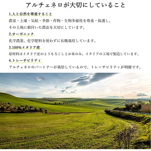 日仏貿易　アルチェネロ　有機グルテンフリー・スパゲッティ　２５０ｇ／パック　１セット（１２パック）5