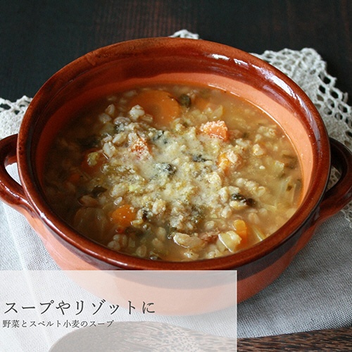 日仏貿易　アルチェネロ　有機野菜ブイヨン・パウダータイプ　１２０ｇ／個　１セット（１２個）6