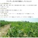 日仏貿易　アルチェネロ　有機トマトピューレー　３Ｐ（２００ｇ×３パックセット）／箱　１セット（８箱）5
