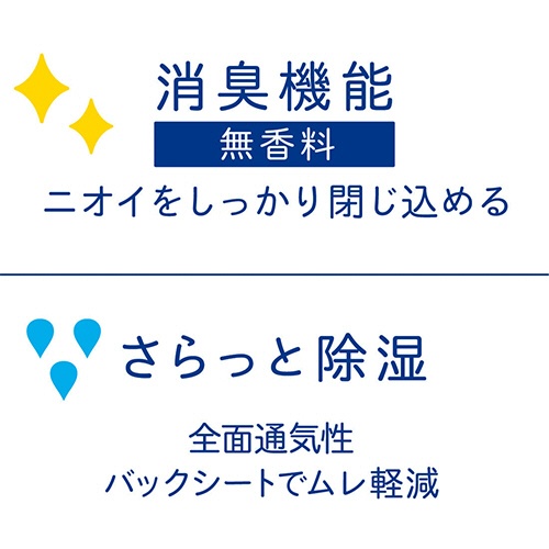 大王製紙　ナチュラ　さら肌さらり　コットン１００％　おまもりケア　軽やか吸水パンティライナー　１７ｃｍ　３ｃｃ　１セット（１０２０枚：３４枚×３０パック）3