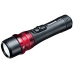 パナソニック LED非常信号灯 BF-AG01P 1個